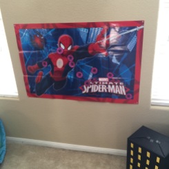 pin the spider